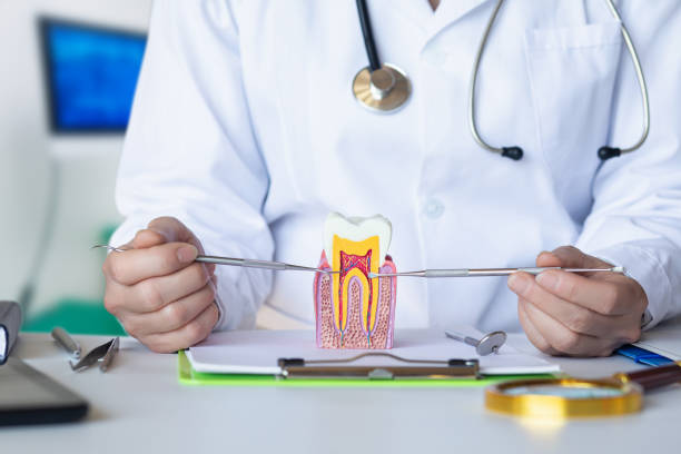 Best Emergency Gum Treatment in Notasulga, AL